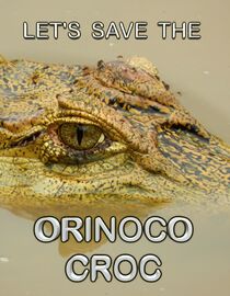 Let's Save the Orinoco Croc
