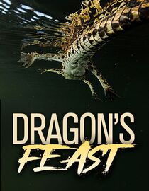 Dragon's Feast