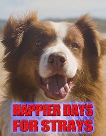 Happier Days For Strays