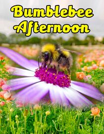 Bumblebee Afternoon