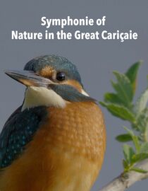 Symphonie of Nature in the Great Cariçaie
