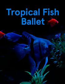 Tropical Fish Ballet