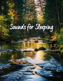 Sounds for Sleeping: Calming Nature Sounds with Forest Sounds