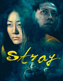 Stray