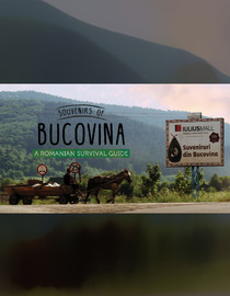 Souvenirs of Bucovina: A Romanian Survival Guide
