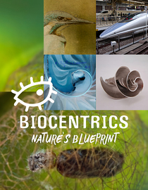 Biocentrics: Nature's Blueprint