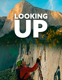 Looking UP