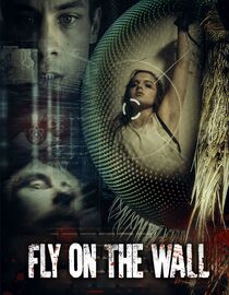 Fly on the Wall