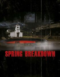 Watch Spring Breakdown Full Movie Free Online - Fawesome TV