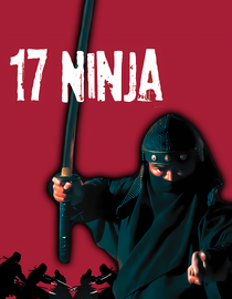 17 Ninja