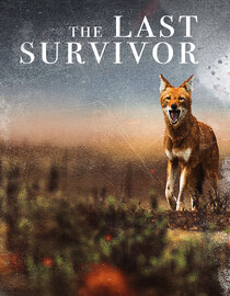 The Last Survivor