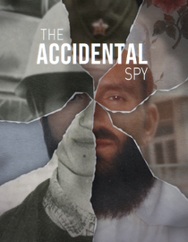 The Accidental Spy