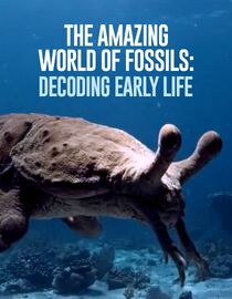 The Amazing World of Fossils: Decoding Early Life