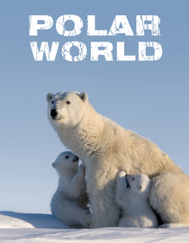 Polar World