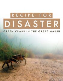 Recipe for Disaster: Green Crabs in the Great Marsh