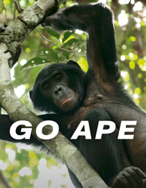 Go Ape