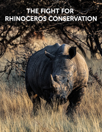 The Fight For Rhinoceros Conservation
