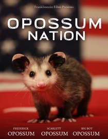 Opossum Nation: Opossum Stories