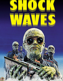 Shock Waves