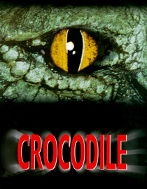 Crocodile