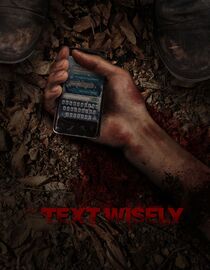 Text Wisely