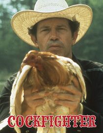 Cockfighter