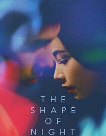 The Shape Of Night