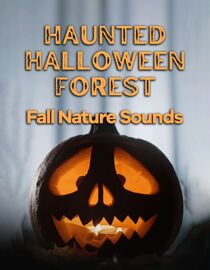 Haunted Halloween Forest: Fall Nature Sounds