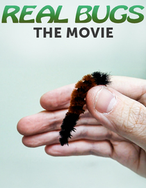Real Bugs: The Movie
