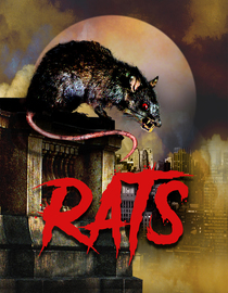 Rats
