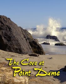 The Cove at Point Dume