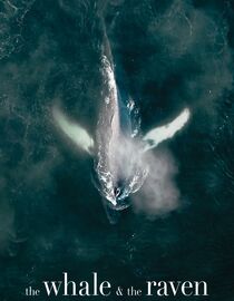 The Whale and The Raven