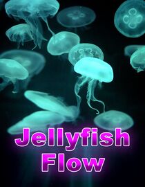 Jellyfish Flow