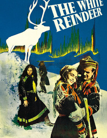 The White Reindeer