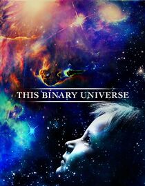This Binary Universe