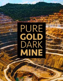 Pure Gold, Dark Mine