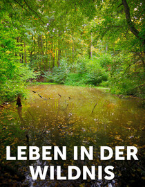 Leben in Der Wildnis