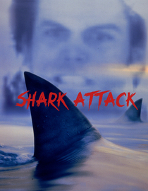 Shark Attack