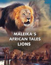 Maleika's African Tales: Lions