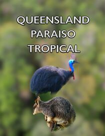 Queensland, Paraíso Tropical