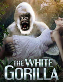 The White Gorilla