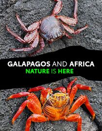 Galapagos and Africa, Nature is Here