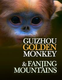 Guizhou Golden Monkey and Fanjing Mountains