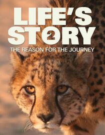 Life's Story 2: The Reason For The Journey