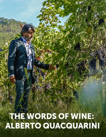 The Words of Wine: Alberto Quacquarini