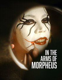 In The Arms Of Morpheus