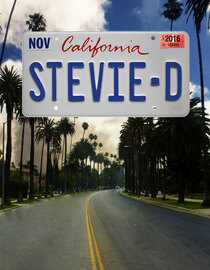 Stevie D
