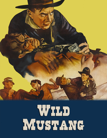 Wild Mustang