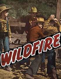 Wildfire: The Story of a Horse