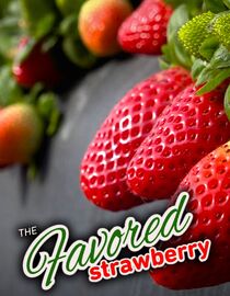 The Favored Strawberry
